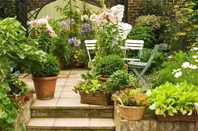 寶雞市致力推進苗木花卉“五集中”