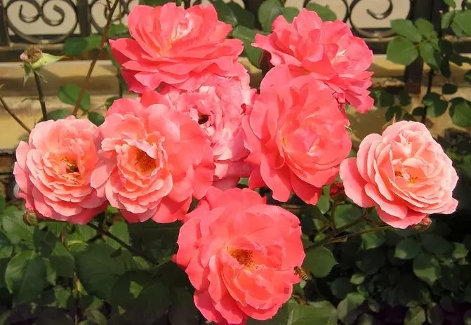 我國苗木花卉產(chǎn)業(yè)年產(chǎn)值達(dá)4500多億元 成為生態(tài)