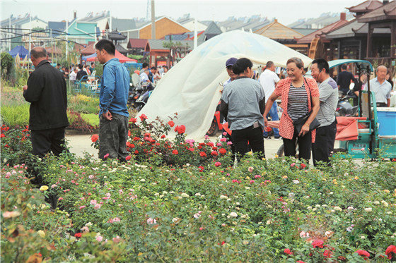昆明籌建國際花卉產(chǎn)業(yè)創(chuàng)新研究院