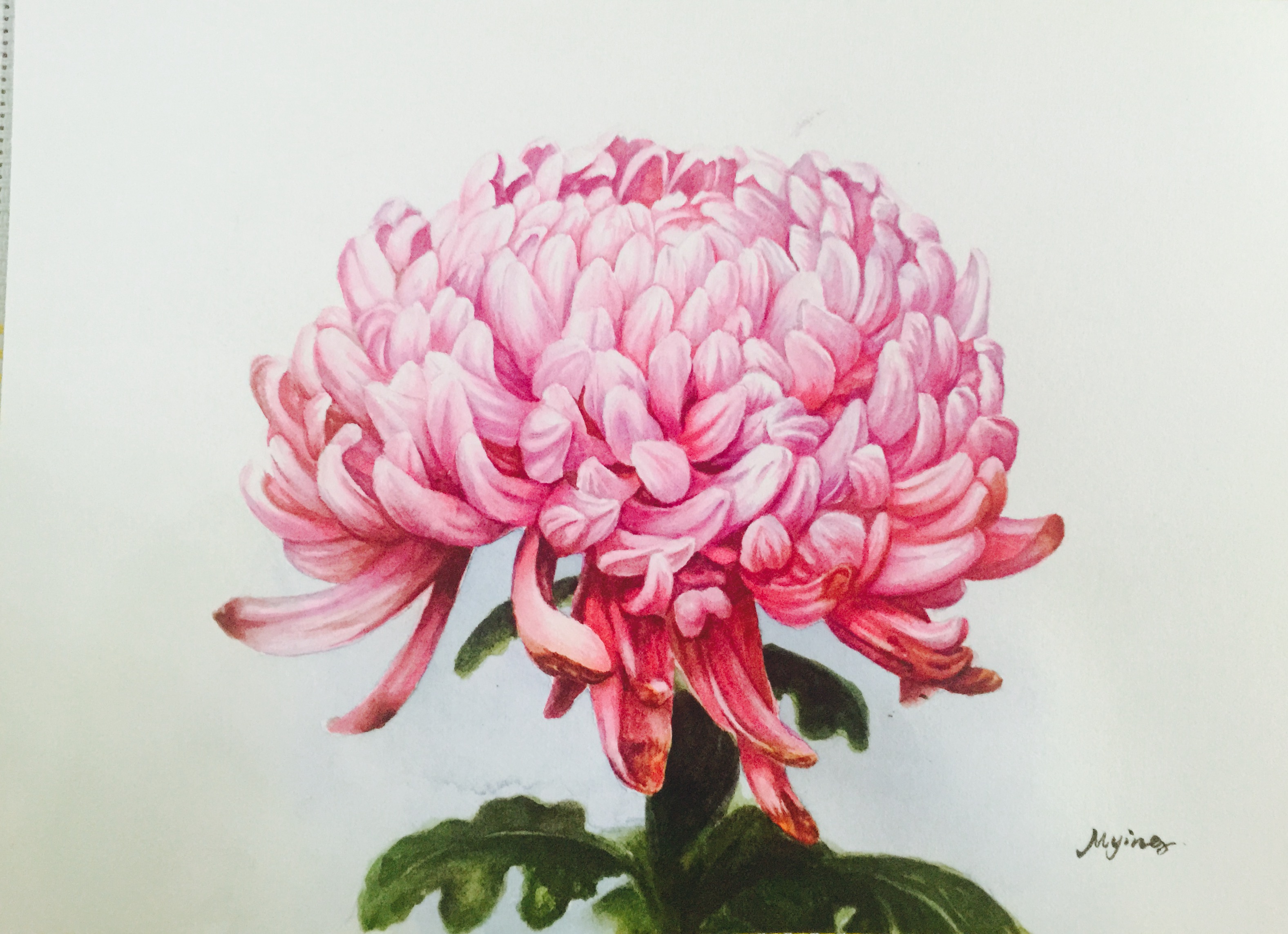 花易寶首個集貨站落地宜良縣南羊鎮(zhèn)