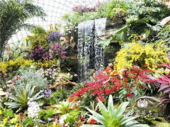 第四屆上海國際蘭展舉辦