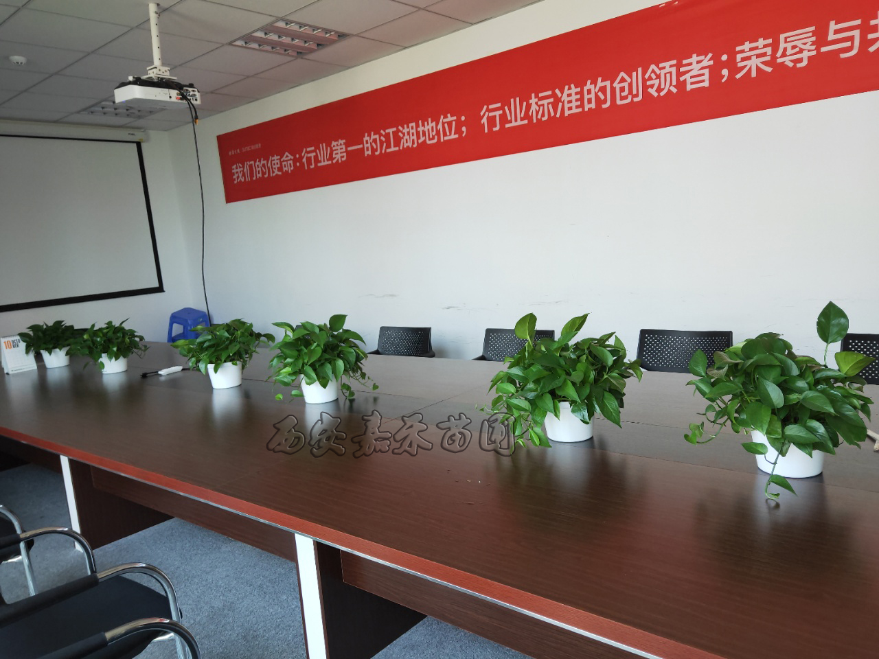 溫江區(qū)室內(nèi)花卉租賃哪家便宜?