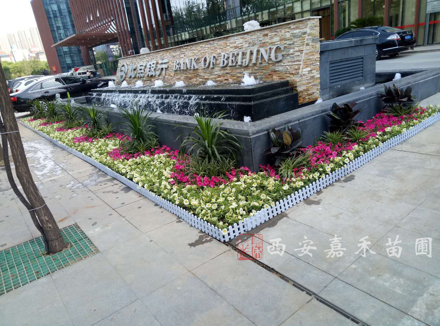 西安銀行大廈花卉租賃多少錢