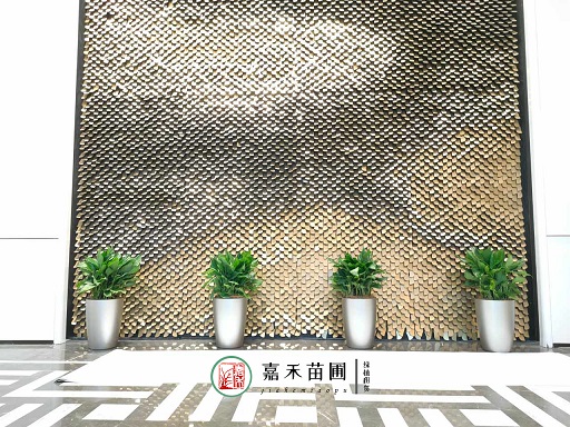 綠意盎然：銀行業(yè)與花卉租擺服務(wù)的合作，助力可持續(xù)發(fā)展