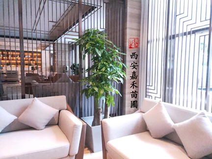 西安嘉禾苗圃綠植租擺